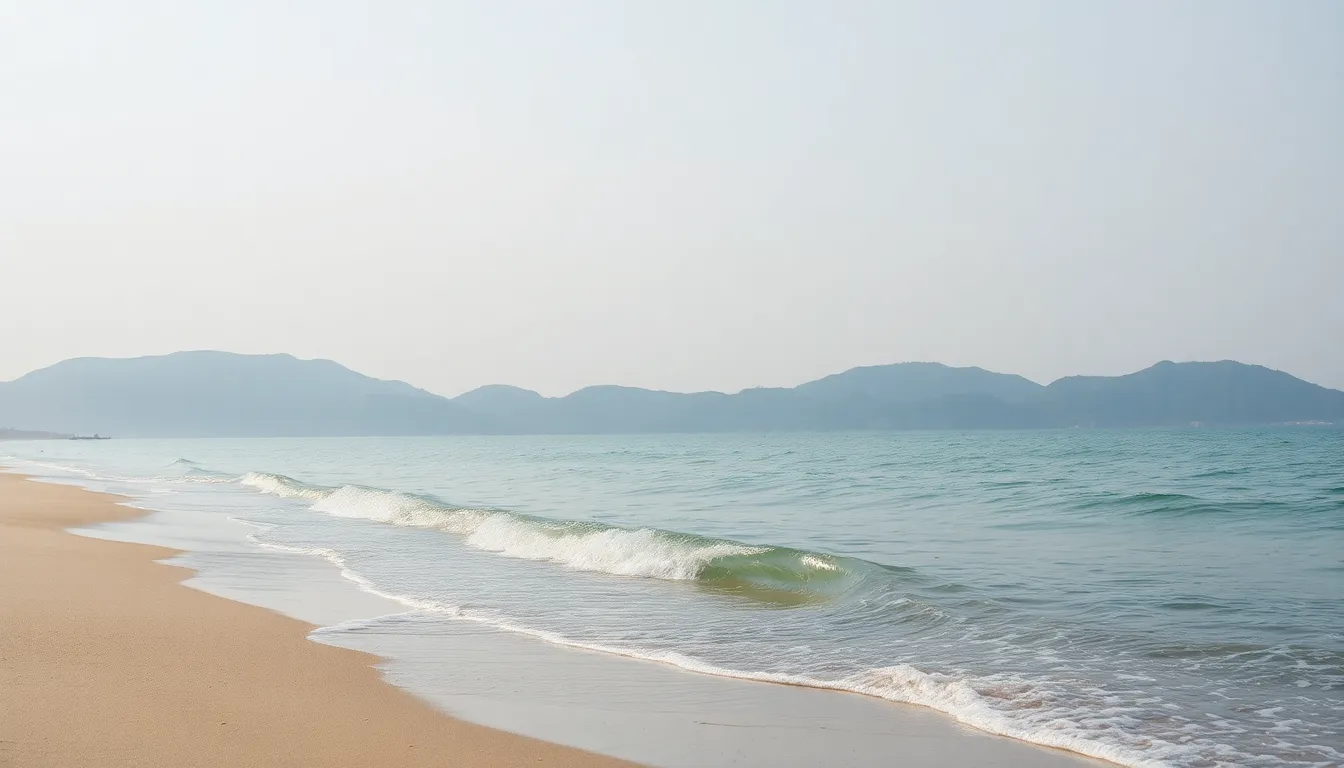 강릉 해변에서 즐기는 MZ세대 여행자들